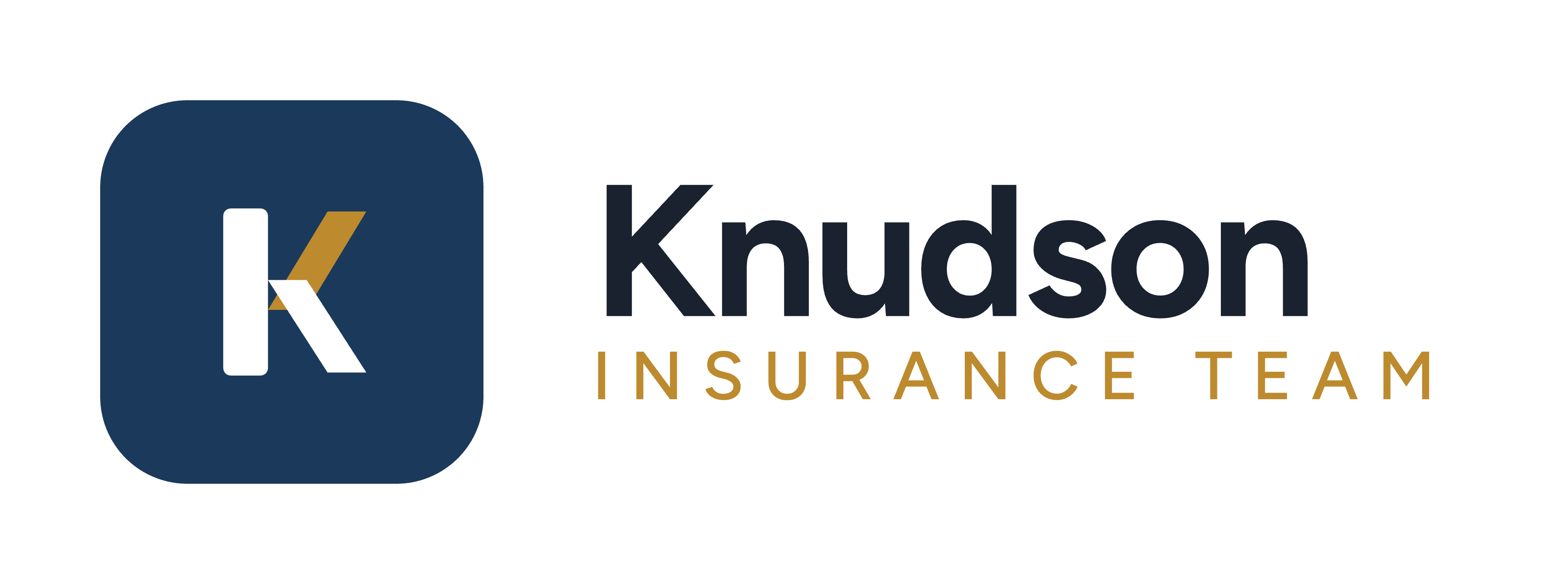 Knudson Insurance Team